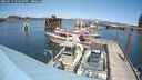 ./images/quadra/hbidock/20250719/hbidock20250719_143511M.jpg