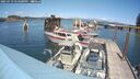 ./images/quadra/hbidock/20250719/hbidock20250719_144000M.jpg