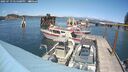 ./images/quadra/hbidock/20250719/hbidock20250719_145000M.jpg