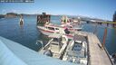 ./images/quadra/hbidock/20250719/hbidock20250719_145010M.jpg