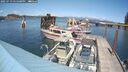 ./images/quadra/hbidock/20250719/hbidock20250719_145500M.jpg