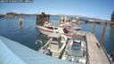 ./images/quadra/hbidock/20250719/hbidock20250719_150011M.jpg