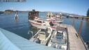 ./images/quadra/hbidock/20250719/hbidock20250719_150500M.jpg