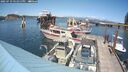 ./images/quadra/hbidock/20250719/hbidock20250719_151011M.jpg