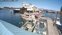 ./images/quadra/hbidock/20250719/hbidock20250719_152000M.jpg