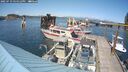./images/quadra/hbidock/20250719/hbidock20250719_154512M.jpg