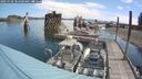 ./images/quadra/hbidock/20250720/hbidock20250720_104500M.jpg