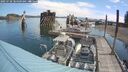 ./images/quadra/hbidock/20250720/hbidock20250720_104508M.jpg