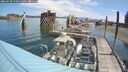 ./images/quadra/hbidock/20250720/hbidock20250720_110012M.jpg