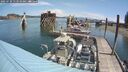 ./images/quadra/hbidock/20250720/hbidock20250720_113510M.jpg