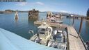 ./images/quadra/hbidock/20250720/hbidock20250720_131500M.jpg