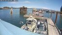 ./images/quadra/hbidock/20250720/hbidock20250720_132011M.jpg