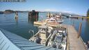 ./images/quadra/hbidock/20250720/hbidock20250720_164011M.jpg