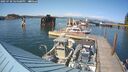 ./images/quadra/hbidock/20250720/hbidock20250720_164508M.jpg