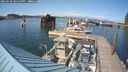 ./images/quadra/hbidock/20250720/hbidock20250720_165509M.jpg