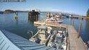 ./images/quadra/hbidock/20250720/hbidock20250720_170500M.jpg