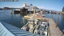 ./images/quadra/hbidock/20250720/hbidock20250720_171500M.jpg