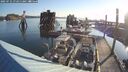 ./images/quadra/hbidock/20250721/hbidock20250721_072511M.jpg