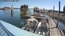 ./images/quadra/hbidock/20250721/hbidock20250721_093500M.jpg