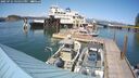 ./images/quadra/hbidock/20250721/hbidock20250721_155011M.jpg