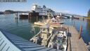 ./images/quadra/hbidock/20250721/hbidock20250721_174011M.jpg