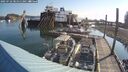 ./images/quadra/hbidock/20250722/hbidock20250722_081511M.jpg
