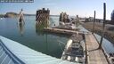 ./images/quadra/hbidock/20250722/hbidock20250722_092010M.jpg