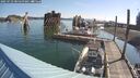 ./images/quadra/hbidock/20250723/hbidock20250723_085500M.jpg