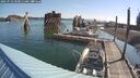 ./images/quadra/hbidock/20250723/hbidock20250723_090011M.jpg