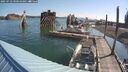 ./images/quadra/hbidock/20250723/hbidock20250723_090510M.jpg