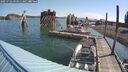 ./images/quadra/hbidock/20250723/hbidock20250723_093011M.jpg