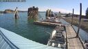 ./images/quadra/hbidock/20250723/hbidock20250723_094000M.jpg