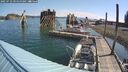 ./images/quadra/hbidock/20250723/hbidock20250723_094500M.jpg