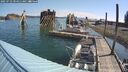 ./images/quadra/hbidock/20250723/hbidock20250723_094511M.jpg