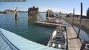 ./images/quadra/hbidock/20250723/hbidock20250723_095010M.jpg