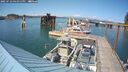 ./images/quadra/hbidock/20250723/hbidock20250723_161011M.jpg