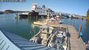 ./images/quadra/hbidock/20250723/hbidock20250723_173012M.jpg