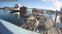 ./images/quadra/hbidock/20250724/hbidock20250724_080509M.jpg