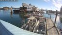 ./images/quadra/hbidock/20250724/hbidock20250724_081011M.jpg