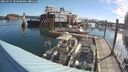 ./images/quadra/hbidock/20250724/hbidock20250724_082000M.jpg