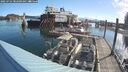 ./images/quadra/hbidock/20250724/hbidock20250724_082509M.jpg