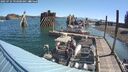./images/quadra/hbidock/20250724/hbidock20250724_093500M.jpg