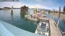 ./images/quadra/hbidock/20250724/hbidock20250724_150000M.jpg