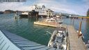 ./images/quadra/hbidock/20250724/hbidock20250724_170508M.jpg