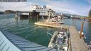 ./images/quadra/hbidock/20250724/hbidock20250724_171011M.jpg