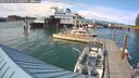 ./images/quadra/hbidock/20250724/hbidock20250724_172000M.jpg