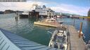 ./images/quadra/hbidock/20250724/hbidock20250724_172011M.jpg