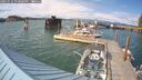 ./images/quadra/hbidock/20250724/hbidock20250724_173000M.jpg