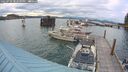 ./images/quadra/hbidock/20250724/hbidock20250724_202509M.jpg