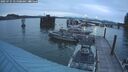 ./images/quadra/hbidock/20250725/hbidock20250725_051508M.jpg